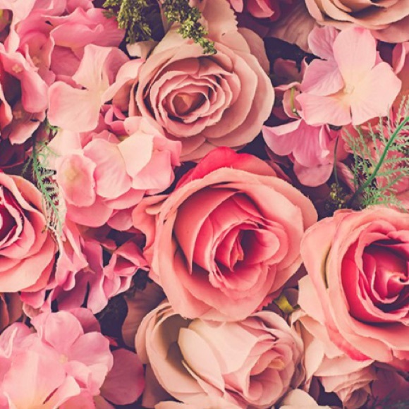 Meet your Posher, Kaley - Picture 1 of 1